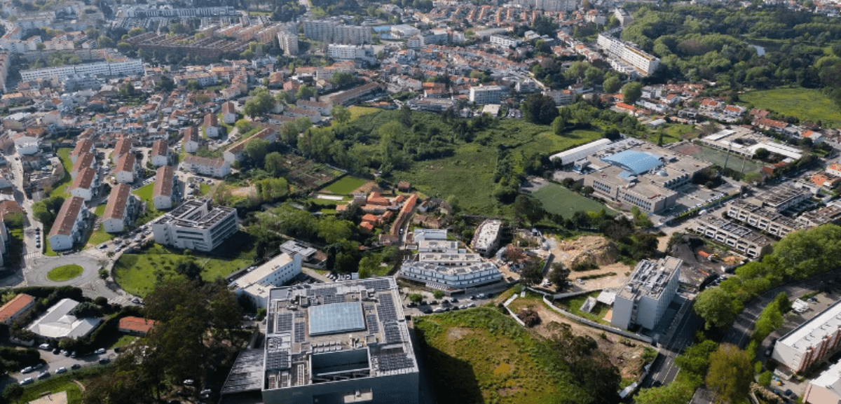 Vista de Aldoar